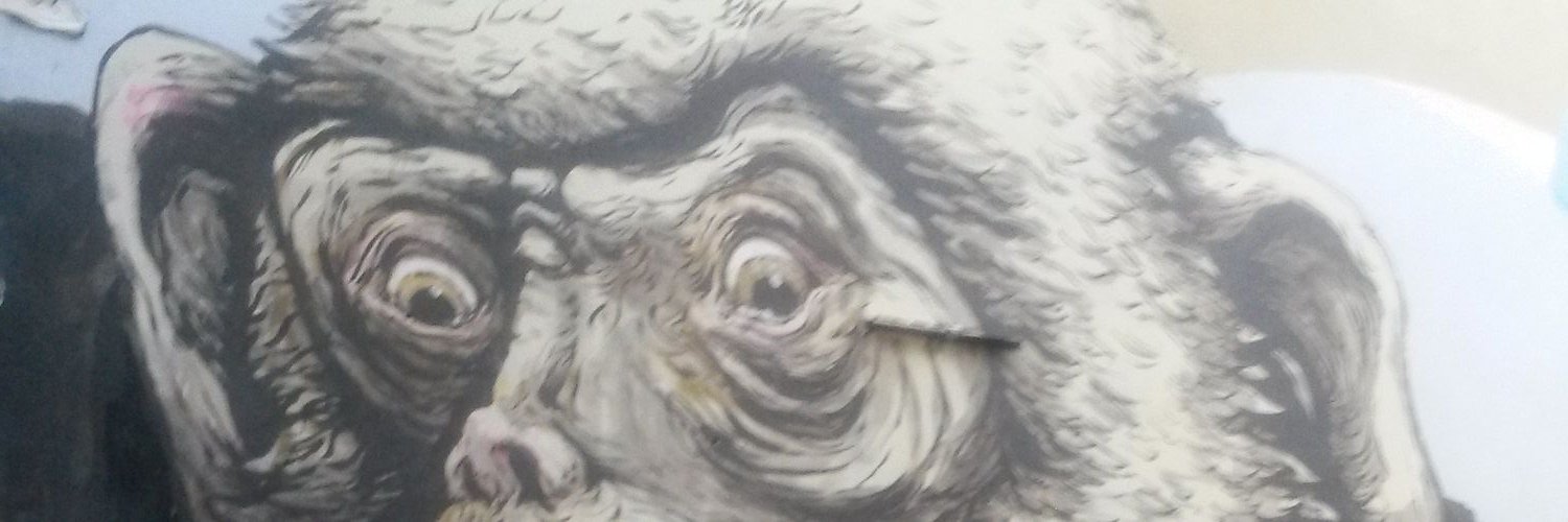 thomasinire's profile banner image