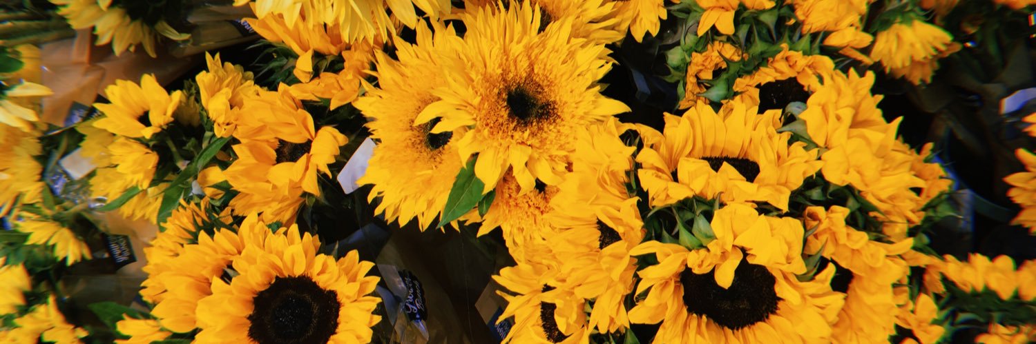 Gabbie Goodwin banner