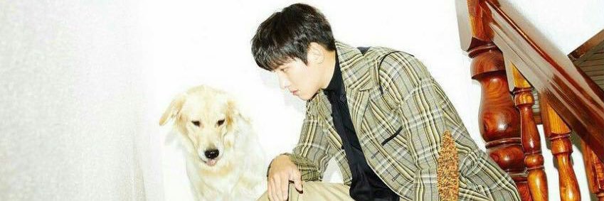 햇살치밀욱 banner