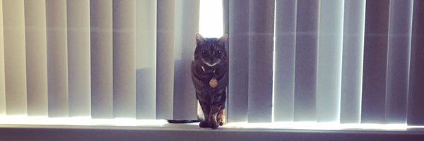 Arb_and_Delish Profile Banner