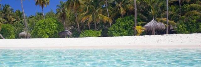 BLN007 banner