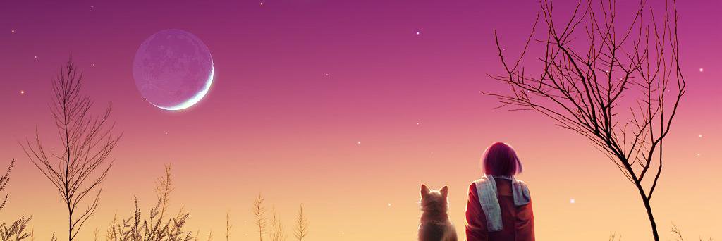 Viviana Roche banner