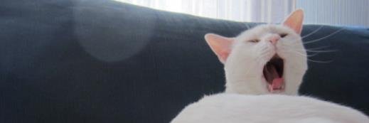 hinamarine's profile banner image