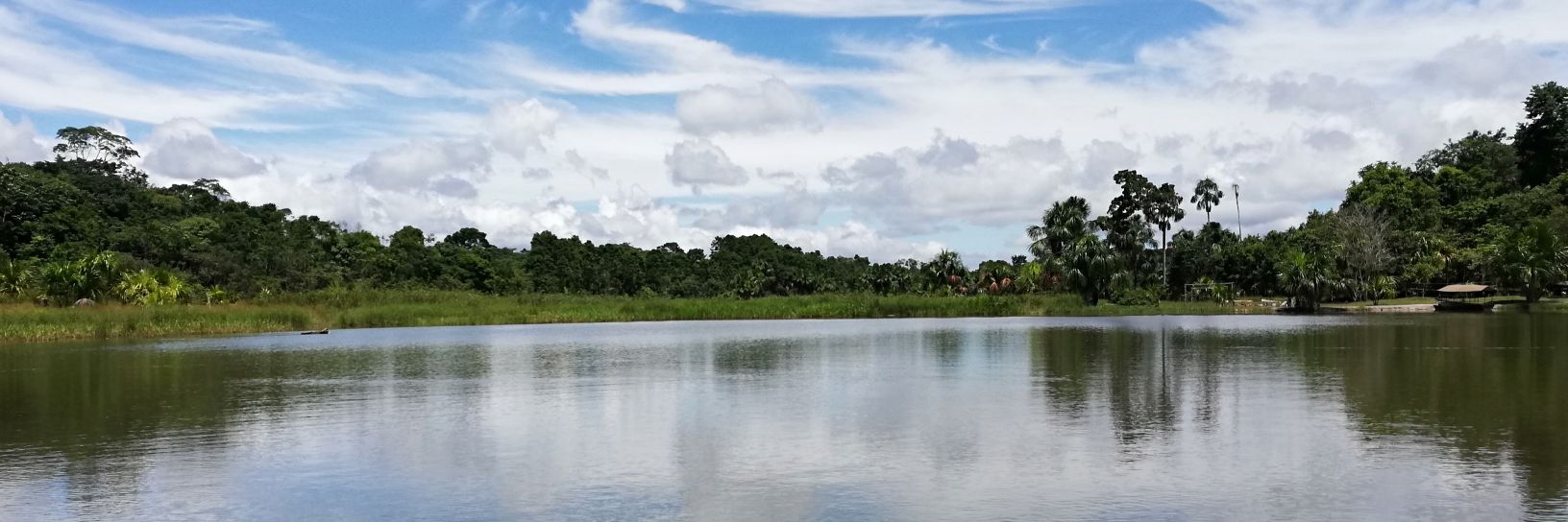 FelioFsr's profile banner image