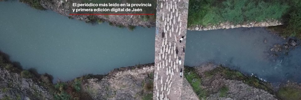 DiarioJAENes's profile banner image