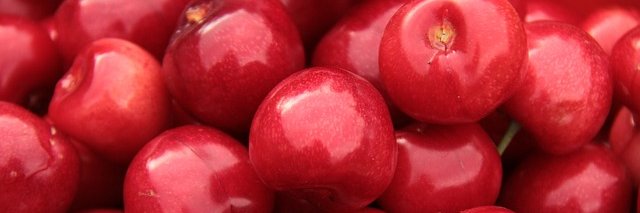 cocoh prasetyoπ² banner