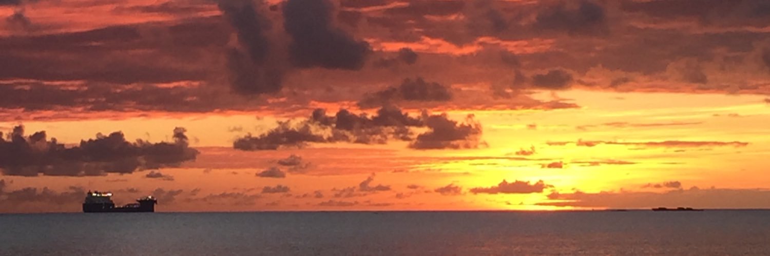 Will Schroeder banner