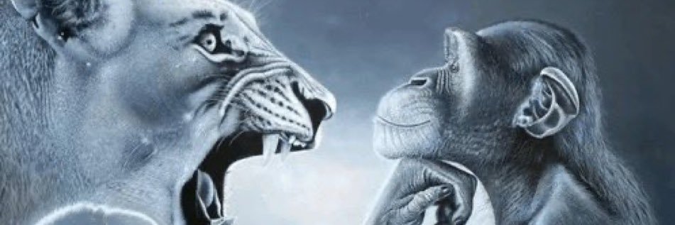 SWlZZ's profile banner image