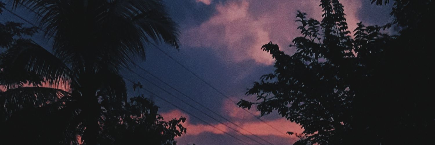 kokpico's profile banner image