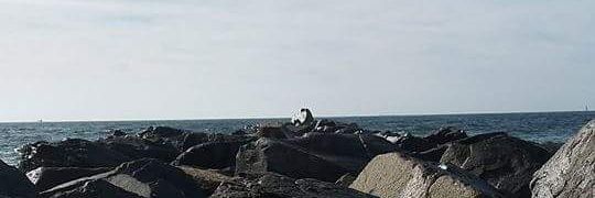 Teehartubbytumm's profile banner image