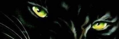 AndrejRojko's profile banner image