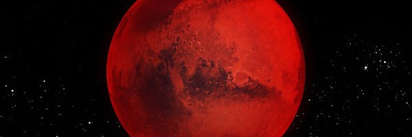 Bruiselee banner