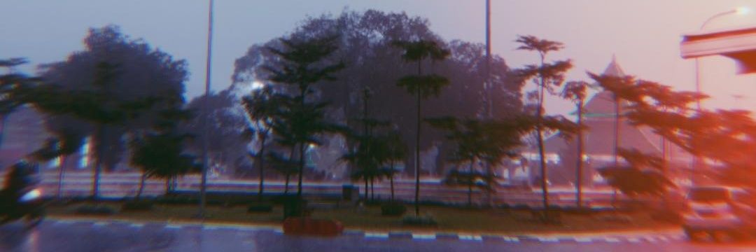 dillaachf's profile banner image