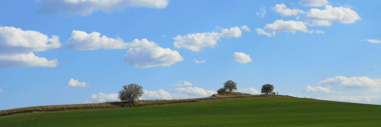 adolfofl's profile banner image
