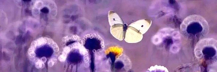 DJ29067's profile banner image