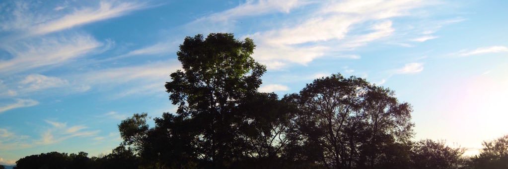 manamcw's profile banner image