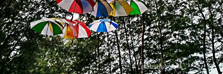 almira9936's profile banner image