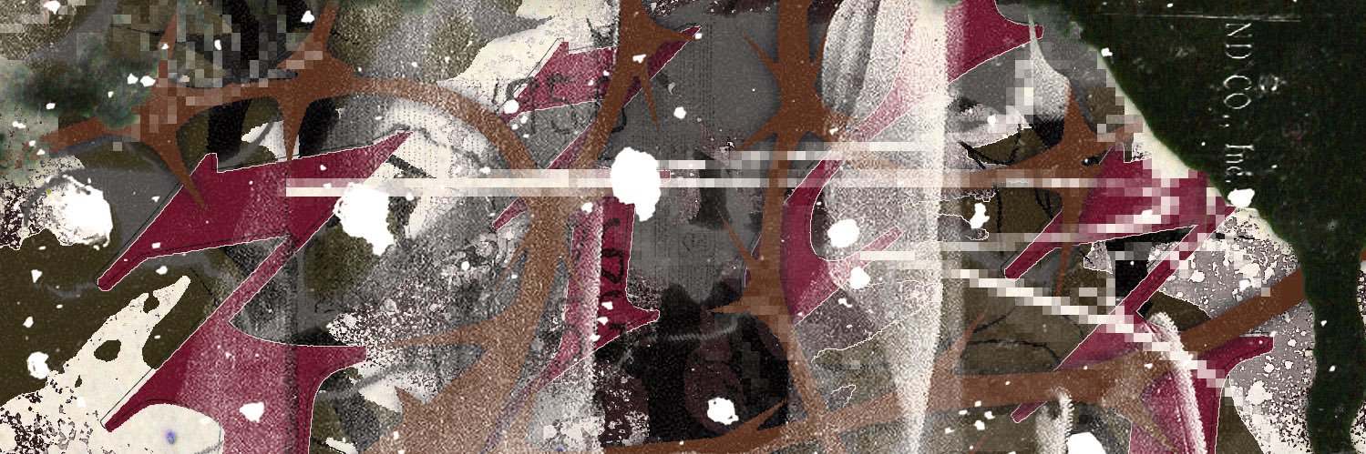 zoom banner