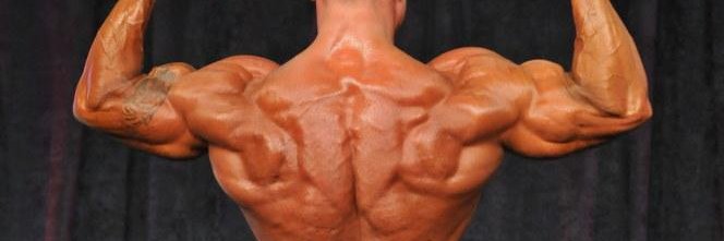 RobCostarelli's profile banner image