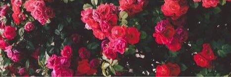 versuux's profile banner image