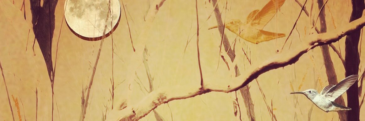 TraceyLea9's profile banner image