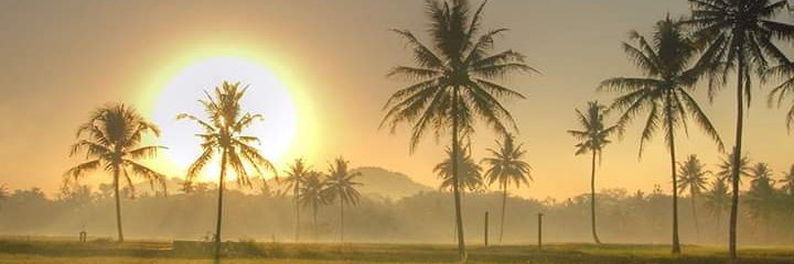 maulawan_'s profile banner image