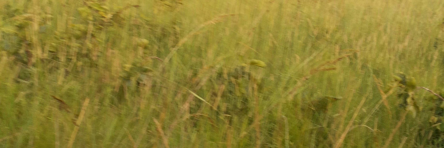 WinnieMusonda's profile banner image
