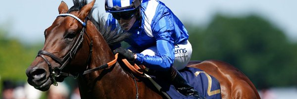 ConchitaMTurf Profile Banner