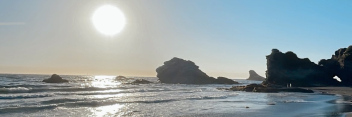 borjitagoogle's profile banner image