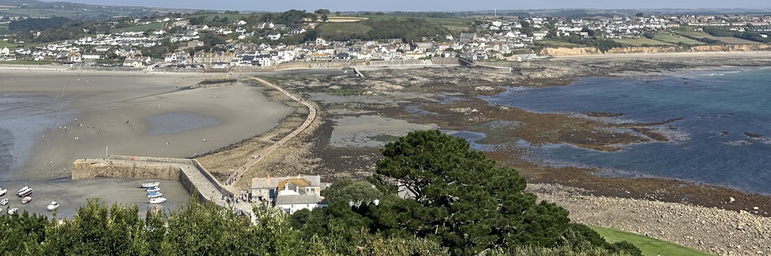 micky harford banner