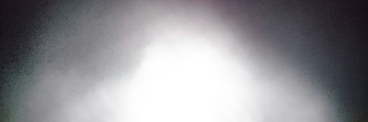 flhllr banner