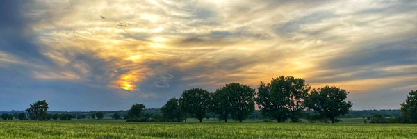 MertAvsever Profile Banner