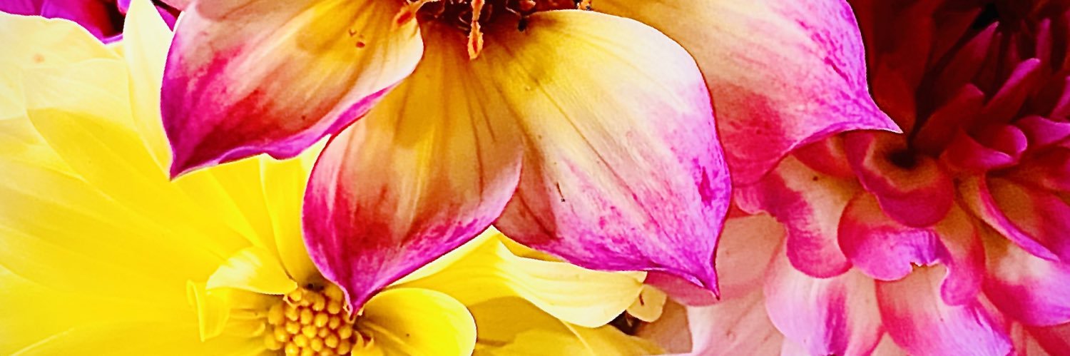 Gerdalize du Toit banner