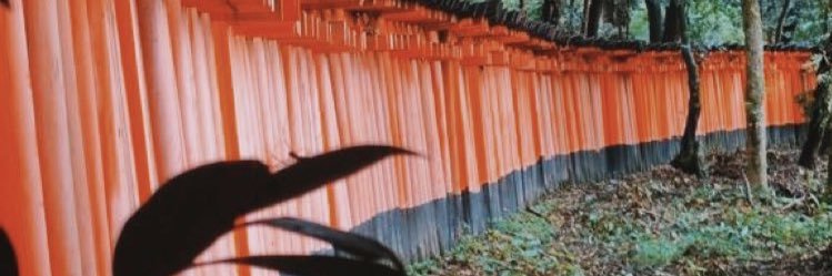 Mekare844's profile banner image