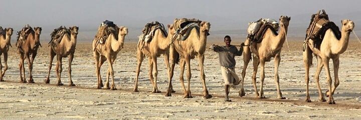 hurdaye1997's profile banner image