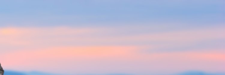 Peter Galbraith banner