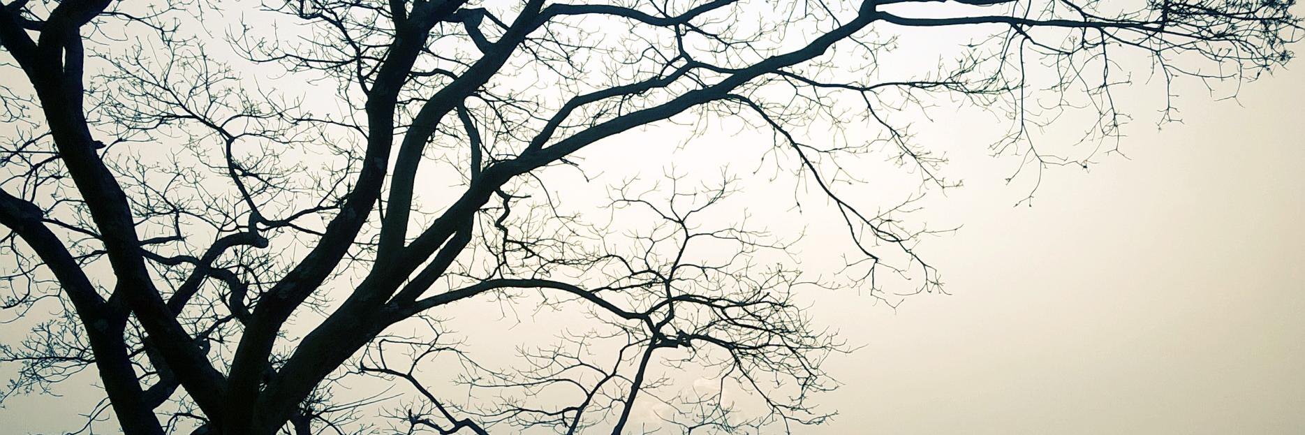 Jot3y's profile banner image