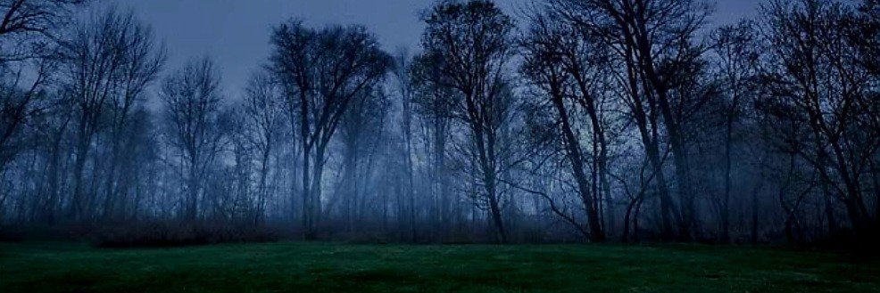 raindropssounds's profile banner image