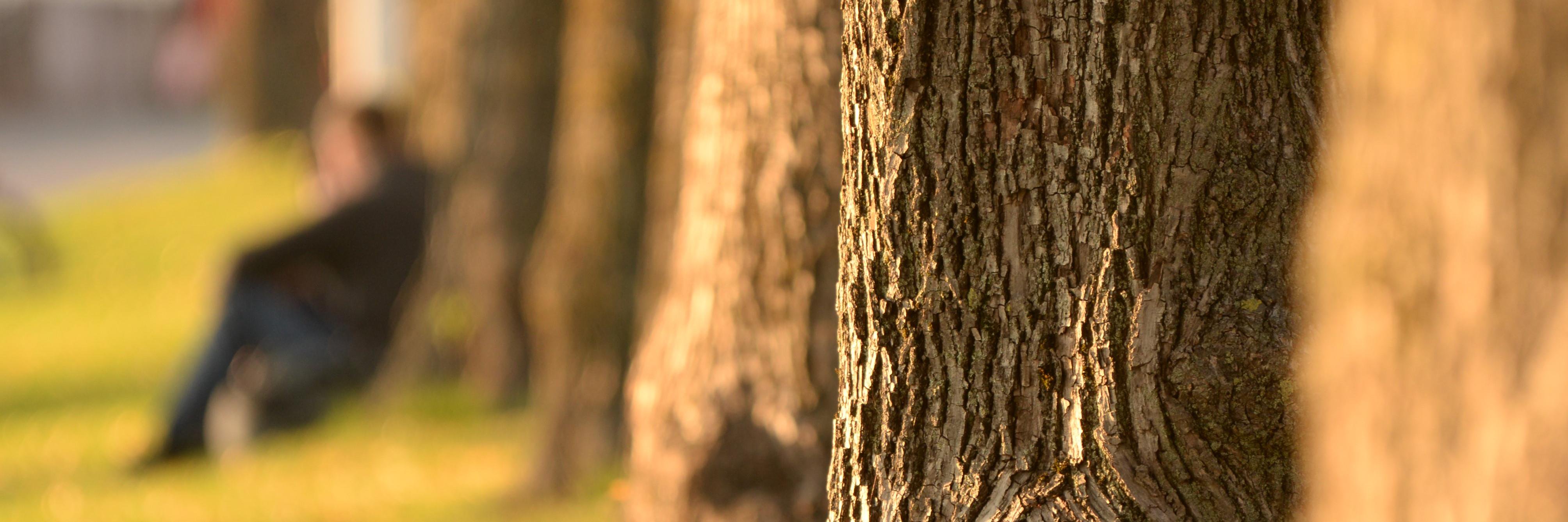 klimatam banner
