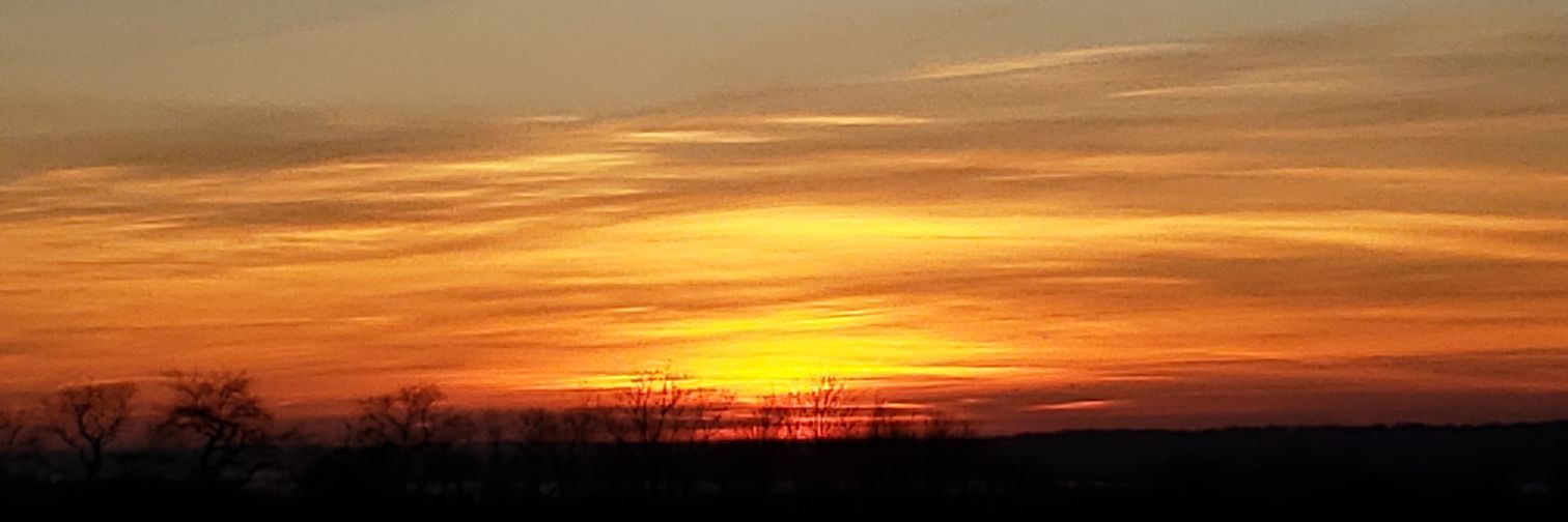 Stephen Denis banner