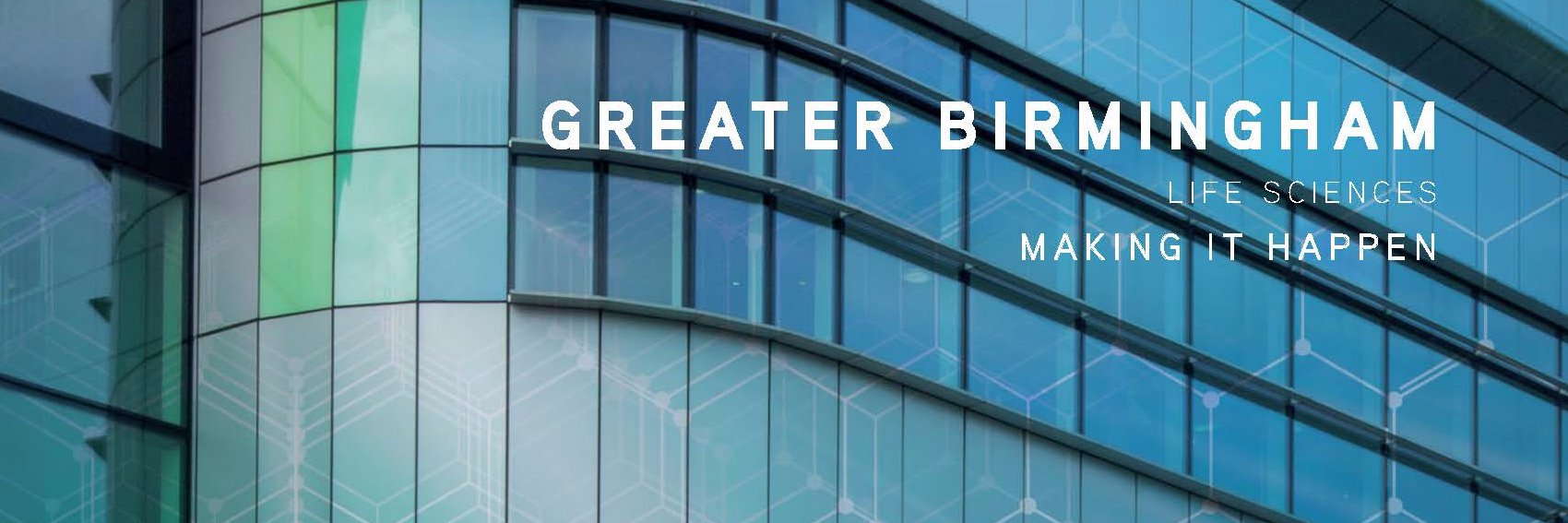 lifesciencebrum's profile banner image