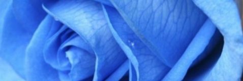 ❤️پ--ر س--تو💛 banner