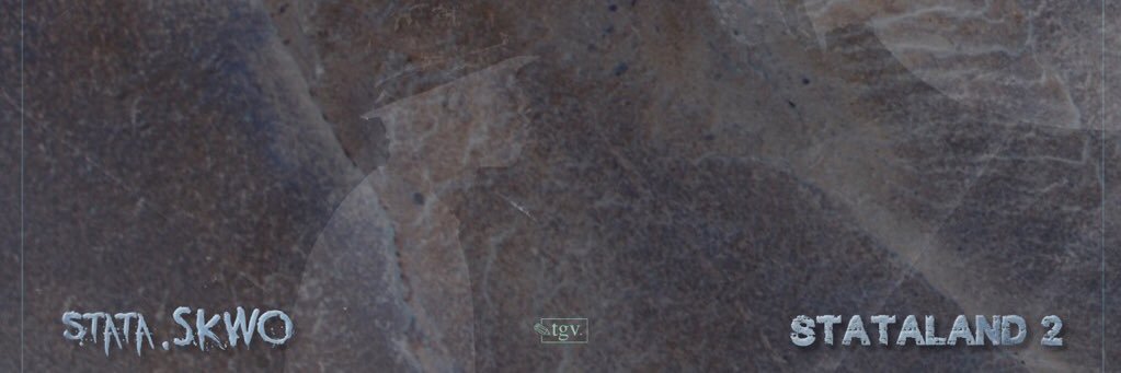 stataSKWO's profile banner image