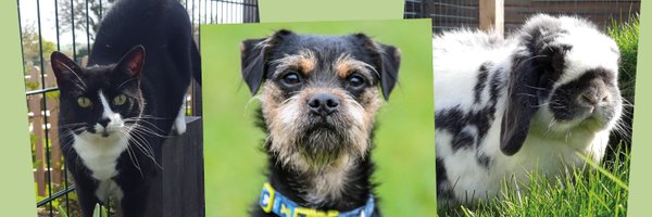 AIDIPPLEPEN Profile Banner