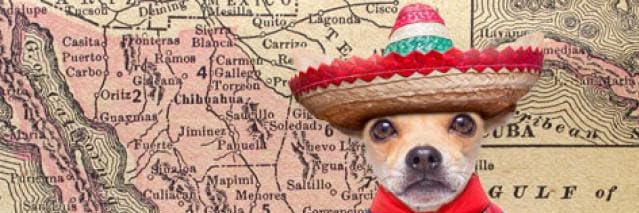 XEP🐉_Aztec_Emperor🐉 banner