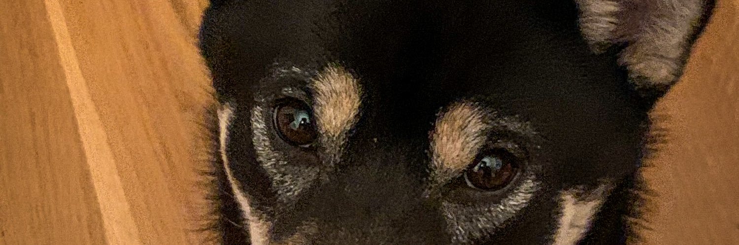 foykes's profile banner image