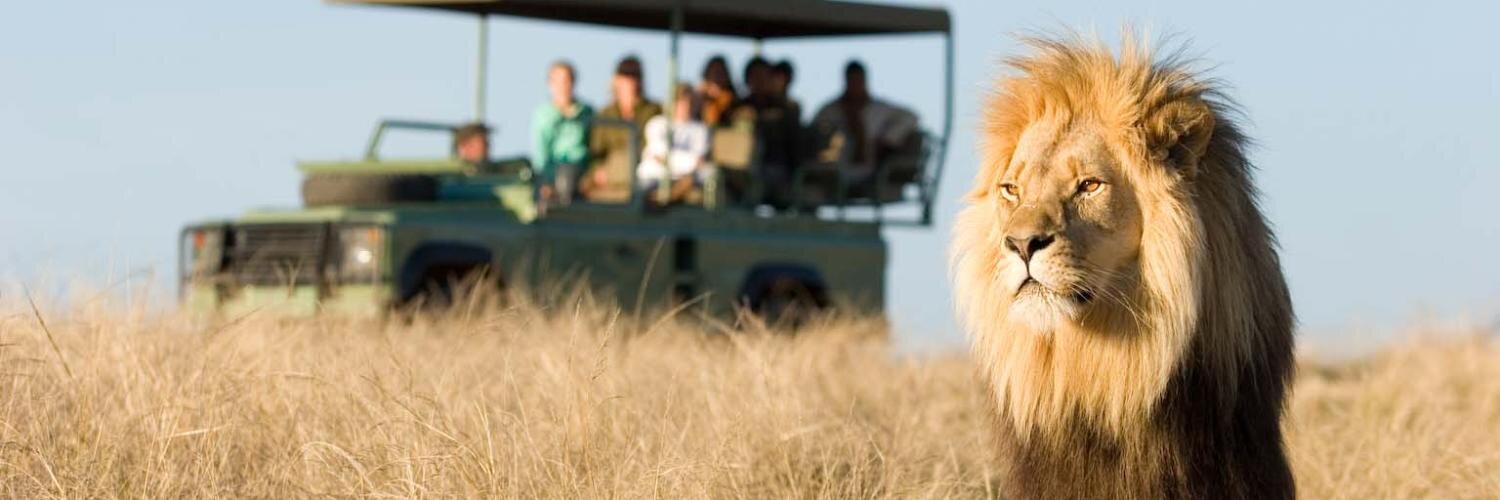 Plett Game Reserve banner