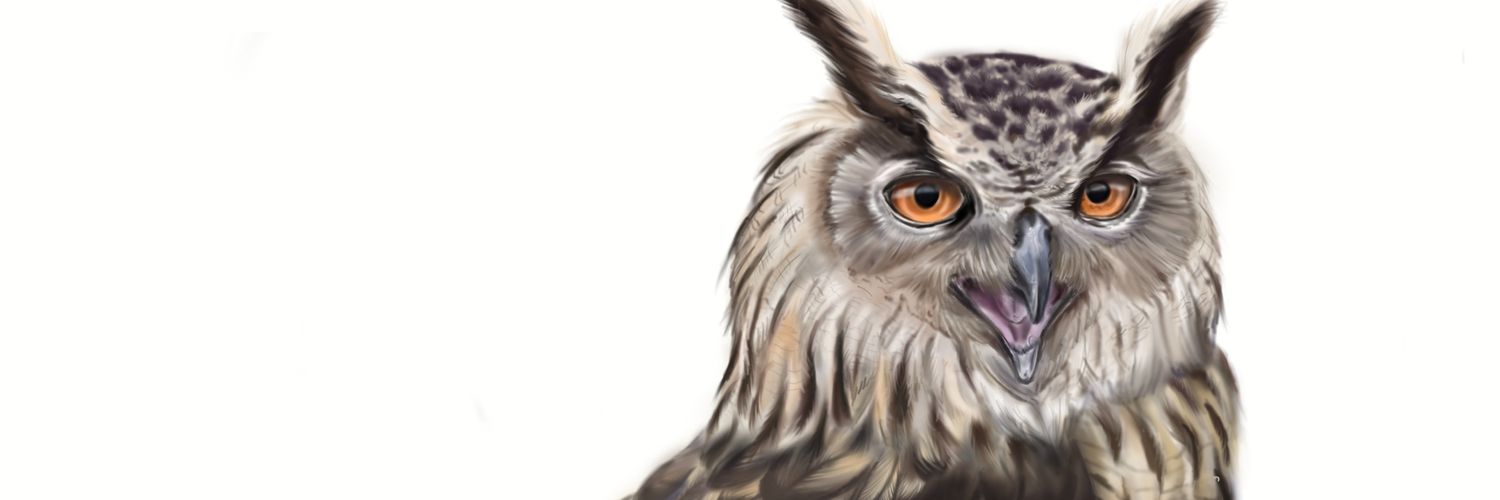 EvaCarretAri's profile banner image