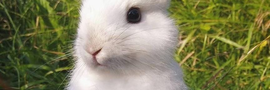 nadycow's profile banner image