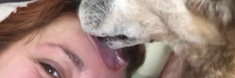 chloekatsu's profile banner image